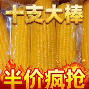 东北糯玉米真空包装加热即食玉米棒软糯香甜非转基因真空装低脂