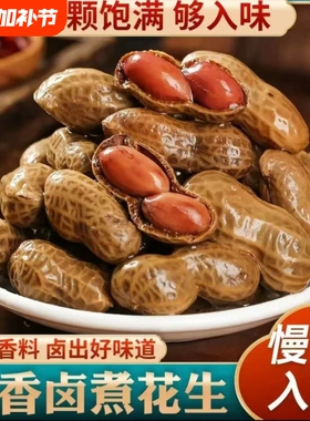 卤汁卤煮花生真空袋装带壳五香盐水香辣花生米下酒菜零食啤酒零食