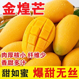【纯甜无丝】三亚直发正宗海南金煌芒果应季8新鲜斤水果整箱包邮