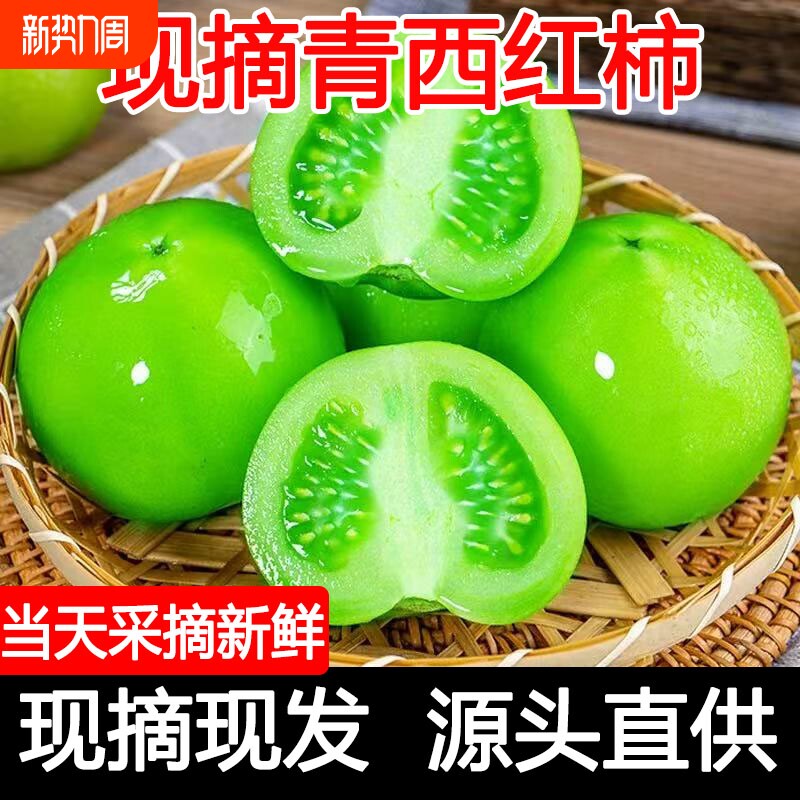 青番茄绿色西红柿新鲜大番茄生未成熟普罗旺斯柿子自然长非圣女果