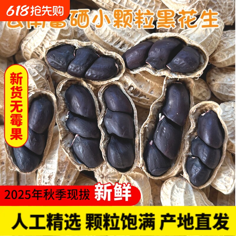 云南黑皮花生黑花生黑带壳富硒2025年普洱特产米水果新货原味散装