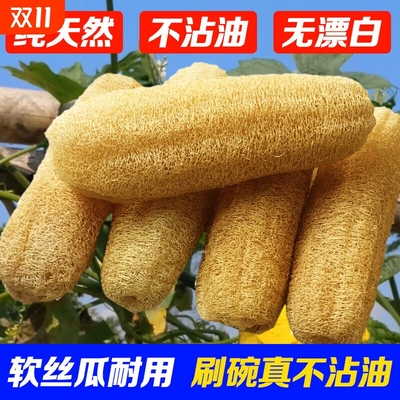 天然丝瓜络洗碗刷锅不沾油老水瓜抹布厨房洗碗神器软丝瓜瓤百洁布