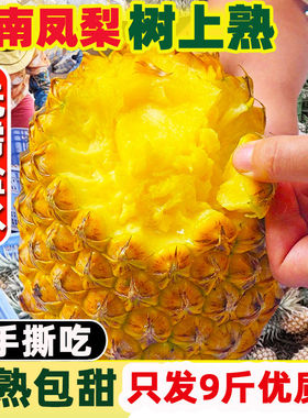 海南金钻凤梨9斤树上熟当季热带新鲜水果非菠萝手撕整箱自然熟
