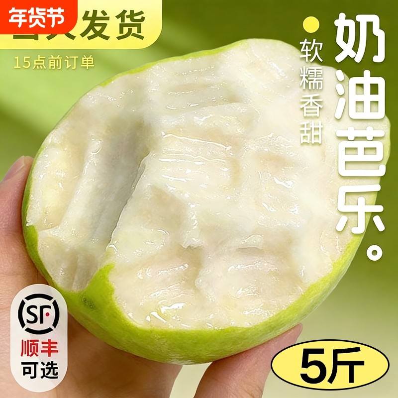 白心奶油芭乐番石榴冰淇淋当季新鲜水果应季软糯脆甜整箱包邮热带,水产肉类/新鲜蔬果/熟食,番石榴/芭乐,淘宝优惠券,粉丝福利购,淘宝优惠卷