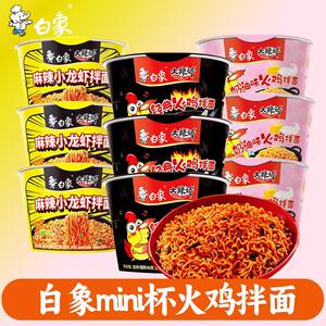 白象方便面迷你火鸡面奶油麻辣小龙虾拌面组合10杯泡面速食夜宵
