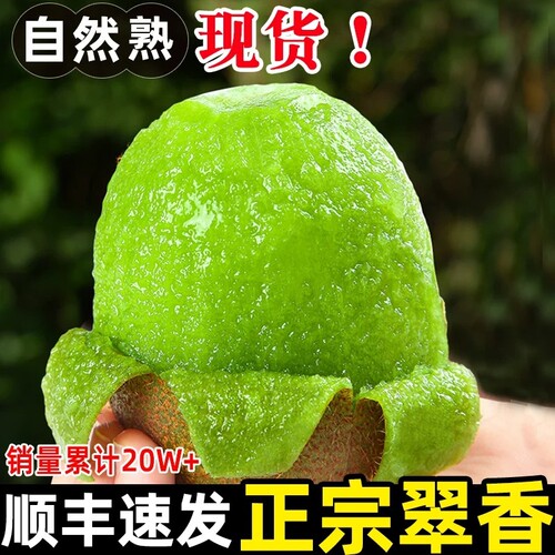 陕西翠香猕猴桃新鲜孕妇水果应季整箱大弥猴桃礼盒绿心奇异果顺丰