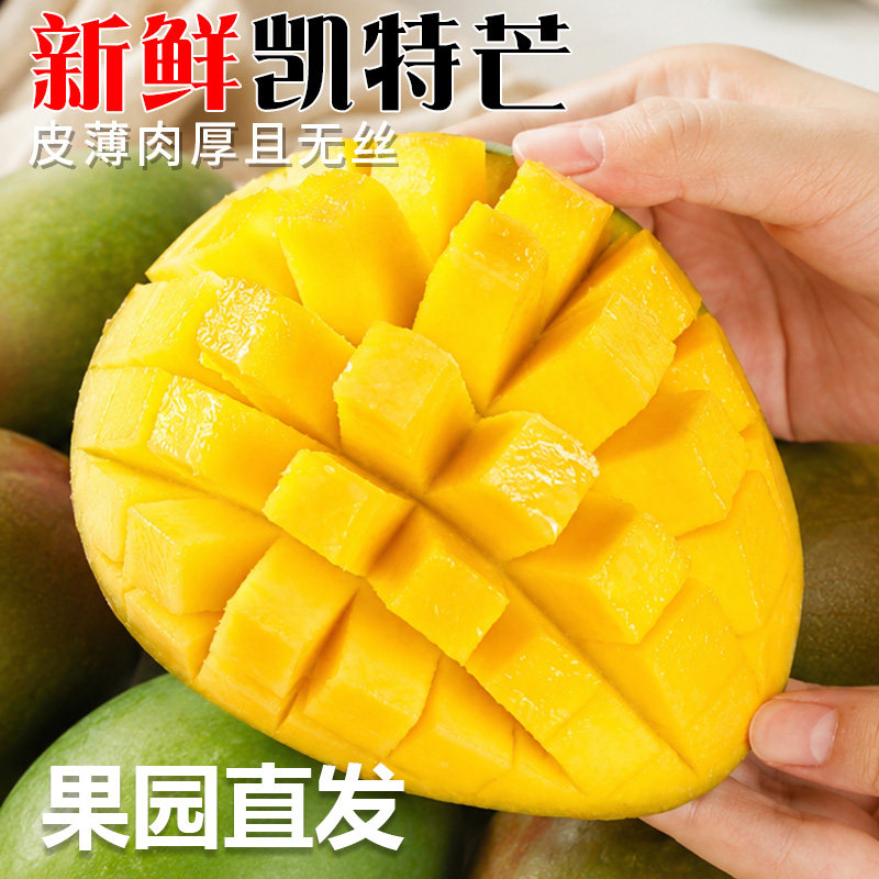 攀枝花凯特芒果5斤新鲜水果当季整箱9斤大青芒甜青皮包邮大果果肉