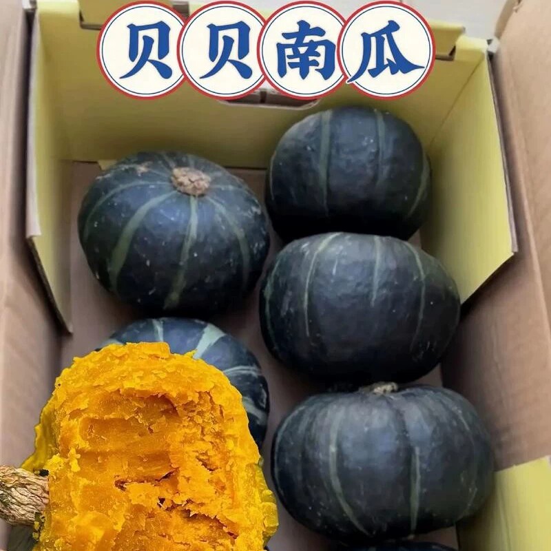 贝贝南瓜正宗粉糯新鲜板栗味小南瓜栗面日本老瓜婴儿孕妇整箱当季