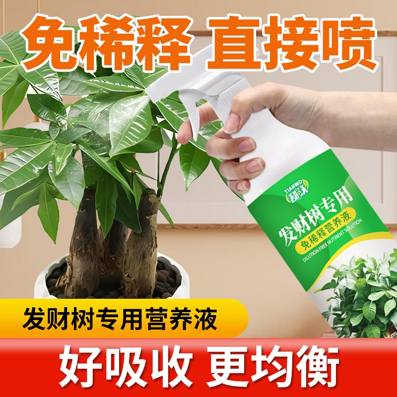 免稀释发财树专用营养液花肥料室内盆栽植物金钱树花卉绿植喷施肥
