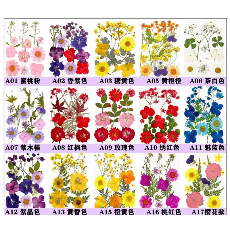 树叶干花包diy水晶滴胶手工花材包压花贴画材料装饰植物标本拍摄