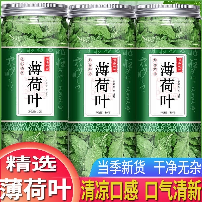 薄荷叶泡水新鲜薄荷茶干薄荷茶食用清凉可搭配胎菊柠檬片等