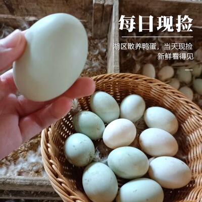 高邮湖农家散养新鲜鸭蛋优质生鸭蛋麻鸭蛋湖区散养正宗土鸭蛋整箱