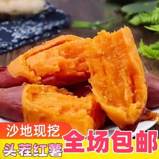 今年头茬龙九红薯沙地种植现挖新鲜黄红心软糯香甜黄心红蜜薯番薯