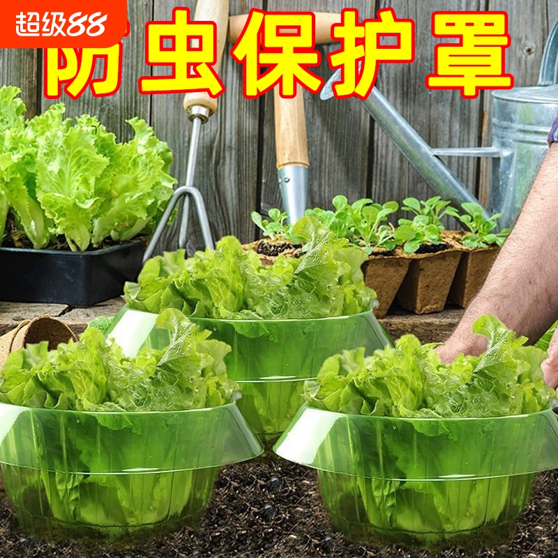 防鼻涕虫神器槟榔树保护罩蜗牛档厂家直销菜苗保护罩其它园艺用品