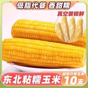 现货2025黄玉米糯玉米真空装新鲜非即食粘糯棒黏甜东北黄玉米