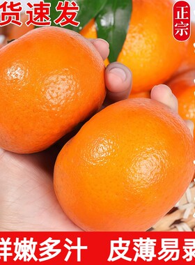 云南高山沃柑新鲜水果10斤当季整箱沙糖蜜橘柑橘易剥桔子橘现摘