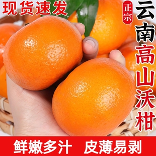 云南高山沃柑新鲜水果10斤当季整箱沙糖蜜橘柑橘皮薄易剥桔子橘