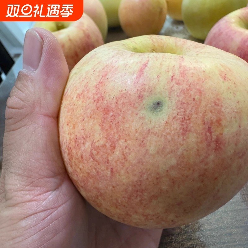 纯天然爱香妃苹果轻微瑕疵果红苹果有黑点或干疤不影响吃香甜薄皮