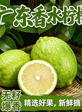 广东香水柠檬新鲜水果现摘爆香柠檬柠檬茶二级果一级果无籽原汁