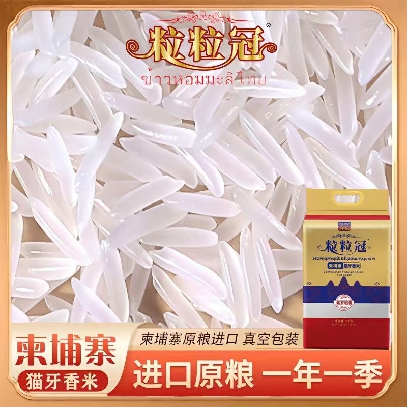进口柬埔寨香米大米长粒香米猫牙米当季新米真空包装5/10斤多规格
