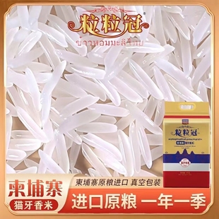 进口柬埔寨香米大米长粒香米猫牙米当季新米真空包装5/10斤多规格