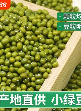 云南绿豆新货农家小绿豆汤种子绿豆糕清仓商用精品食用新鲜袋装