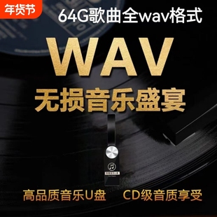 WAV无损音乐u盘高音质新款流行发烧经典歌曲汽车车载听歌优盘64G