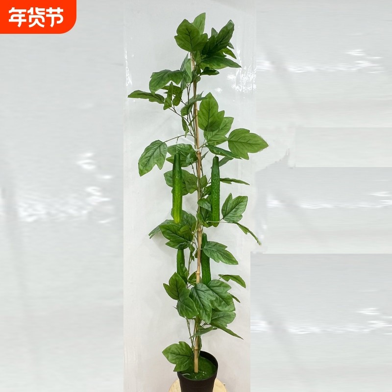 仿真黄瓜水果蔬菜苦瓜黄瓜装饰酒店田园造景拍摄道具摆件假黄瓜,鲜花速递/花卉仿真/绿植园艺,仿真绿植,淘宝优惠券,粉丝福利购,淘宝优惠卷