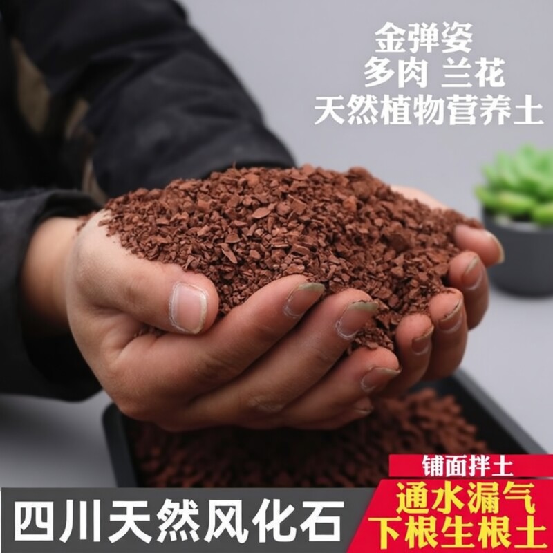 风化土颗粒风化石土壤盆景下山桩生根专用种植铺面通用型小叶疏松