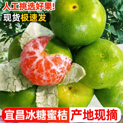 宜昌蜜桔特早熟蜜橘桔子新鲜水果9斤当季5青皮桔无籽孕妇整箱