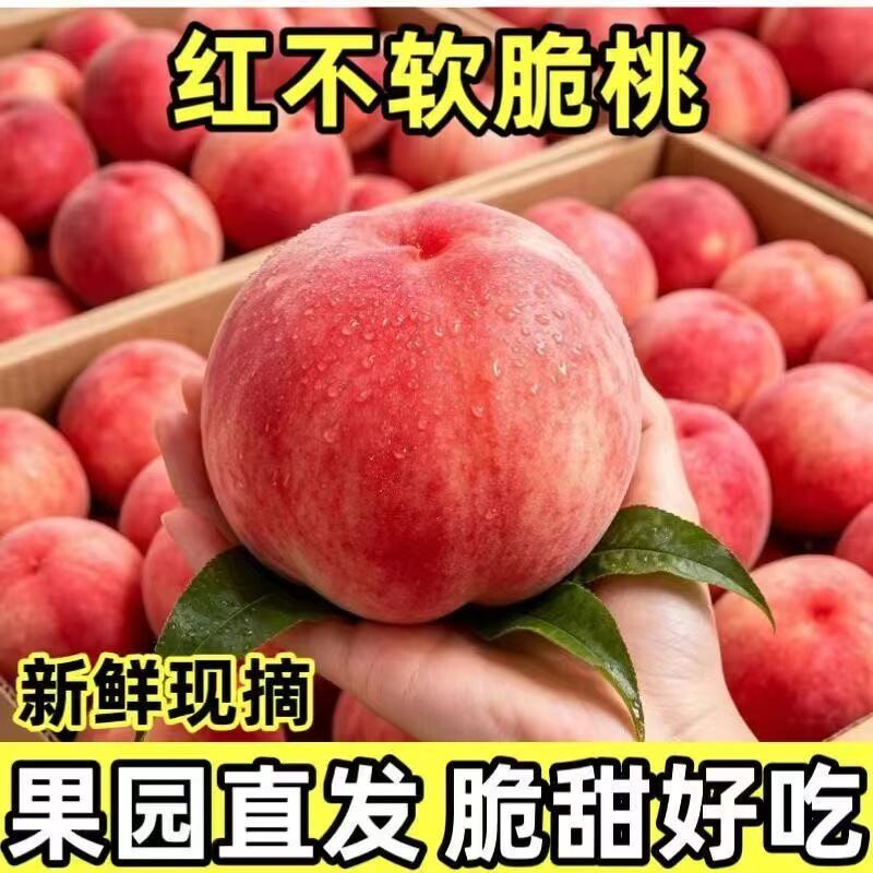 水蜜桃头茬山西运城水蜜桃新鲜桃子当季水果孕妇水蜜桃脆桃