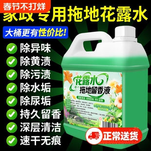 拖地花露水持久留香清洁液大桶专用无水印地板瓷砖清洁剂杀菌清香