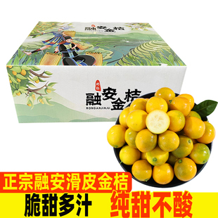 广西融安脆皮金桔鲜果小金橘子斤新鲜水果应当季蜜金柑整箱包邮