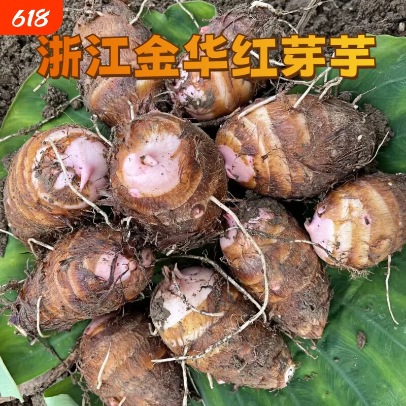 浙江金华红芽芋艿现挖新鲜毛芋小芋头红梗芽芋子农家自种9/5/3斤