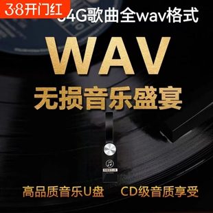 WAV无损音乐u盘高音质新款流行发烧经典歌曲汽车车载听歌优盘64G