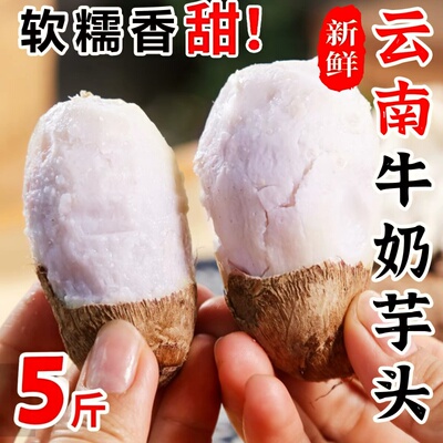 云南牛奶芋头小香芋5斤新鲜毛芋头现挖农家自种奶油芋艿蔬菜即食