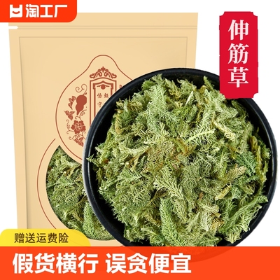 伸筋草500克正品中药材小伸筋草舒筋草泡脚另售透骨草远志益智仁