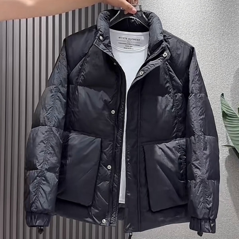 高级感立领短款羽绒服男士外套冬季24新款潮流时尚百搭加厚防寒服