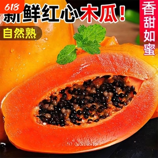 正宗红心牛奶水果木瓜新鲜应当季现摘青皮番木瓜树上熟冰糖心整箱