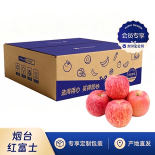 水果大果4.5斤多规格 山东烟台栖霞红富士苹果当季 会员专享