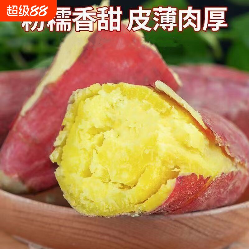 板栗红薯济薯26黄心红薯新鲜粗粮粉糯干面香甜皮薄番薯地瓜图片