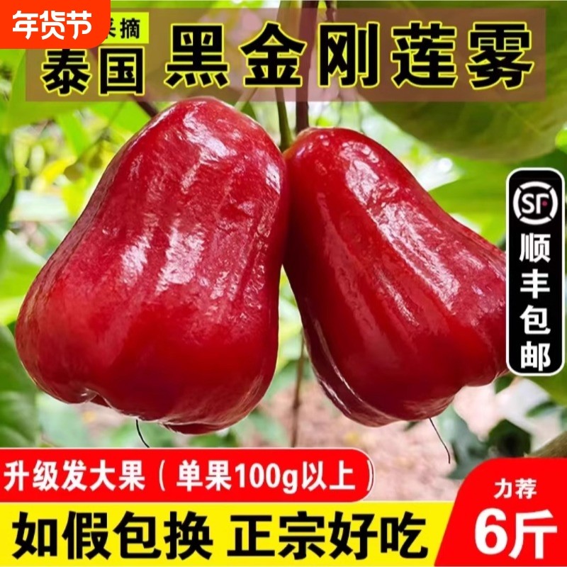 正宗海南黑金刚大果特大果莲雾新鲜水果热带果脆甜三亚特产连雾,水产肉类/新鲜蔬果/熟食,莲雾,淘宝优惠券,粉丝福利购,淘宝优惠卷