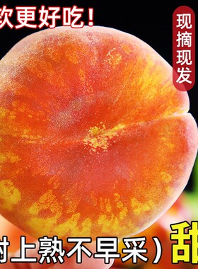 彩虹黄心毛蟠桃！满口香甜很美味