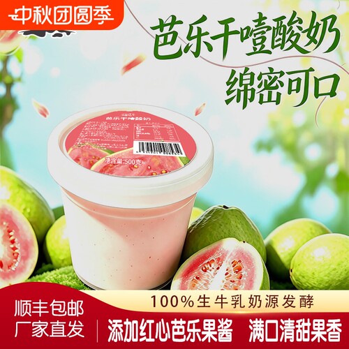 【新品】芭乐干噎酸奶1斤*桶醇厚代餐解馋冷藏酸奶碗DIY可商用