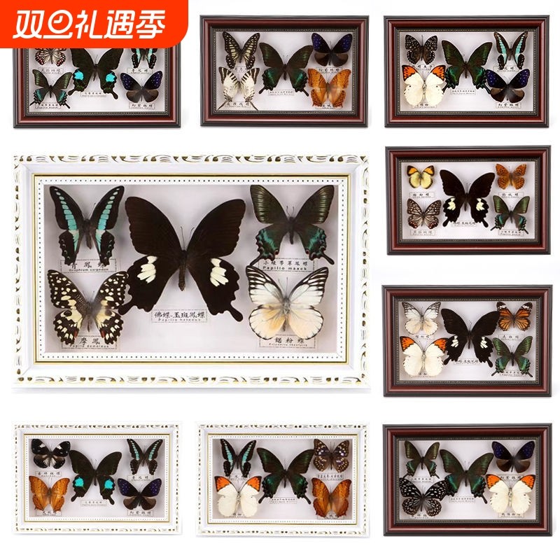 真蝴蝶标本相框摆件蝴蝶昆虫生日礼物幼儿园宝宝礼物居家摆台玻璃