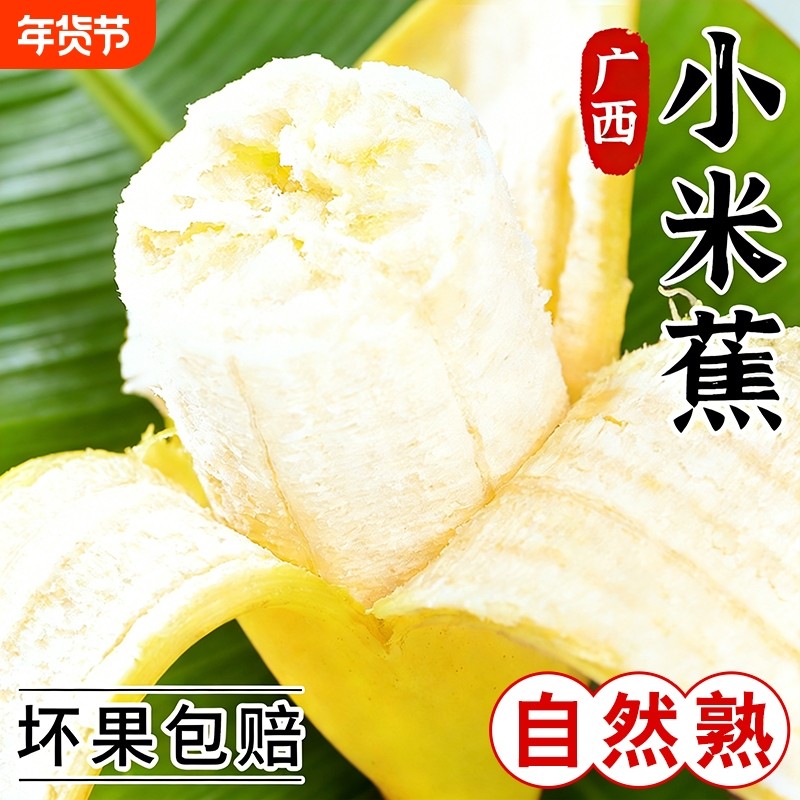 正宗广西小米蕉10斤新鲜水果包邮现摘小香芭蕉苹果蕉甜整箱自然熟,水产肉类/新鲜蔬果/熟食,香蕉,淘宝优惠券,粉丝福利购,淘宝优惠卷