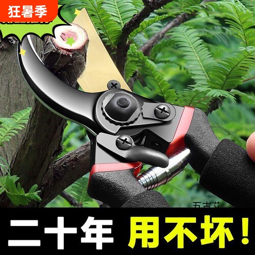 艺园剪刀强力修枝剪刀树园林