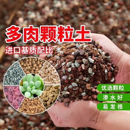 多肉颗粒土泥炭种植花土叶插纯颗粒专用营养土包邮发酵通用土疏松