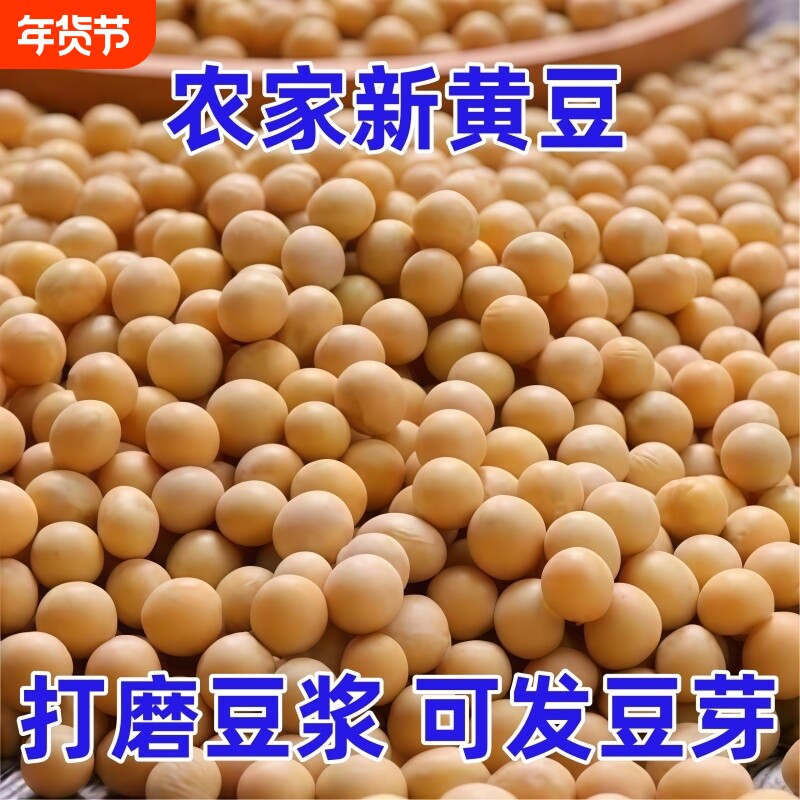 新黄豆农家山地种植大豆五谷杂粮人工挑选老品种生豆芽打豆浆粗粮