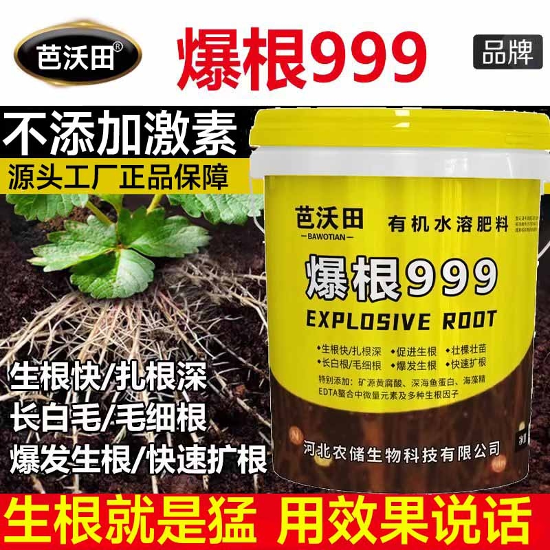 爆根999生根壮苗剂水溶肥料桶装水溶肥冲施肥正品根多多生根剂